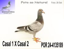 POR 24-4135189